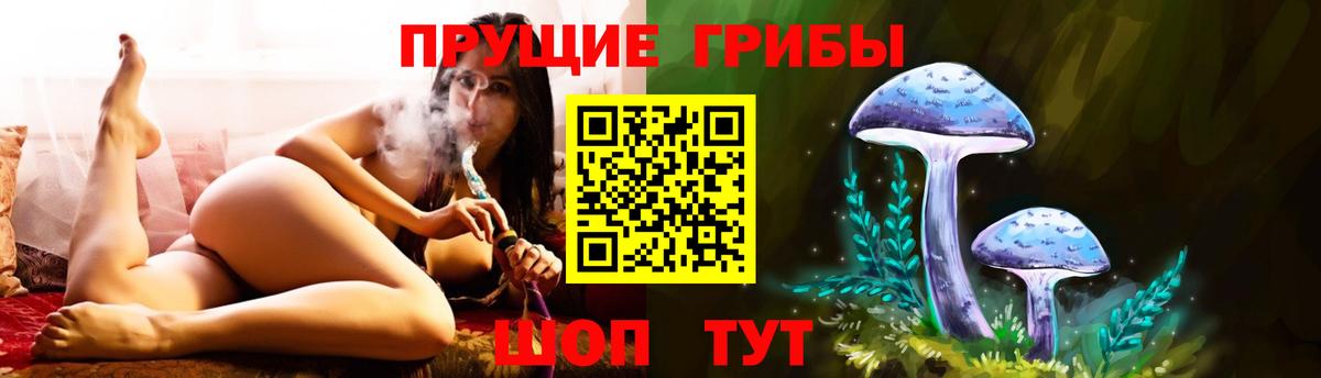 Жуковский  Галлюциногенные грибы Psilocybine cubensis  Вход с VPN 